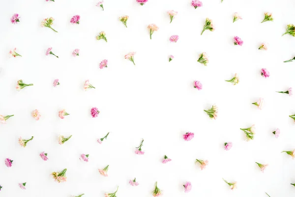 Moldura com botões de flores silvestres rosa e bege — Fotografia de Stock