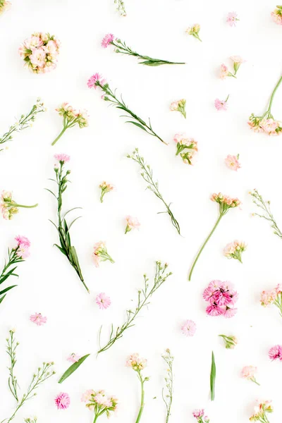 花卉图案的粉色和米色野花，绿色叶、 枝 — 图库照片