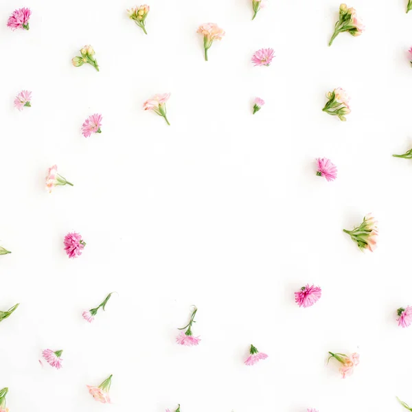 Cadre avec boutons de fleurs sauvages roses et beiges — Photo