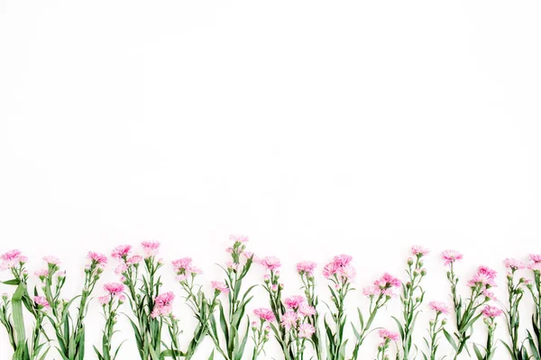 Pink wildflowers on white background