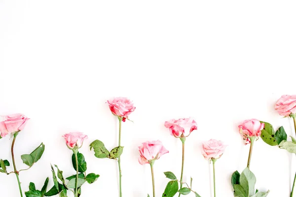 Rosas rosa sobre fundo branco — Fotografia de Stock