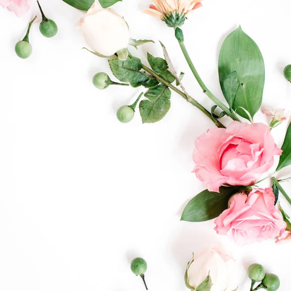 Rosas sobre fondo blanco — Foto de Stock