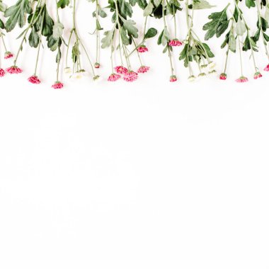 Kırmızı ve beyaz kır çiçekleri