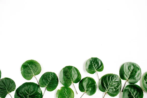 Patrón de hojas verdes — Foto de Stock