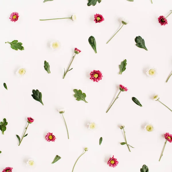 Цветочный узор с красными и белыми полевыми цветами — стоковое фото
