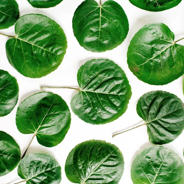 Patrón floral hecho de hojas verdes — Foto de Stock
