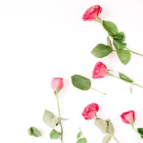 Patrón floral de rosas rosadas y beige —  Fotos de Stock