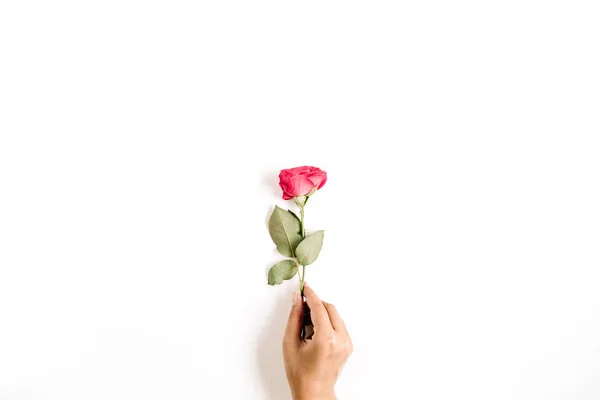 Szép piros rózsa virág lány kezét — Stock Fotó