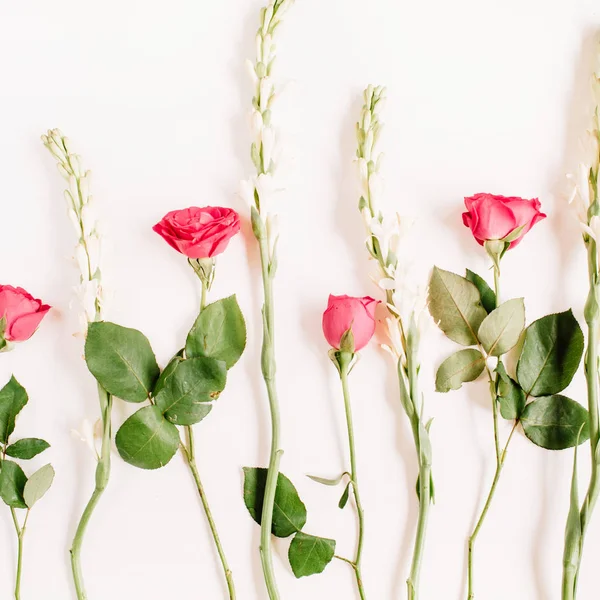 Rosa rosor och vita blommor — Stockfoto