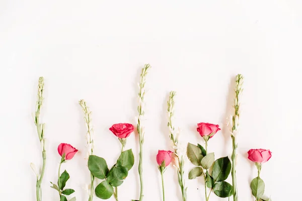 Троянди рожеві та білі квіти — стокове фото