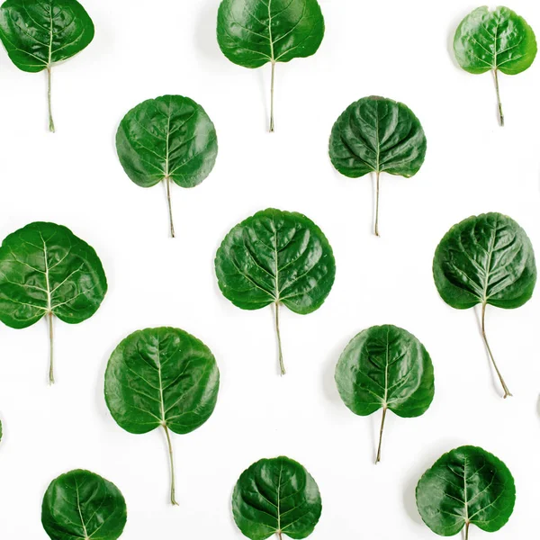 Patrón floral hecho de hojas verdes — Foto de Stock