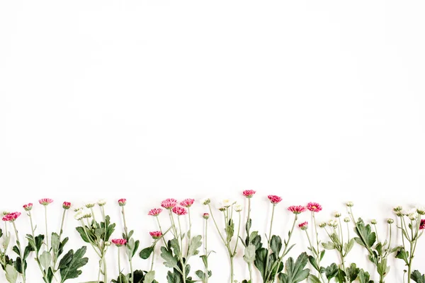 Красные и белые полевые цветы — стоковое фото