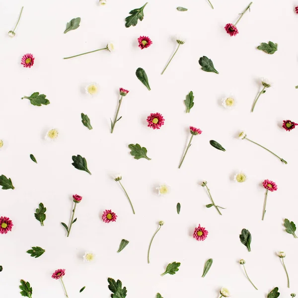 Modèle de fleur avec des fleurs sauvages rouges et blanches — Photo