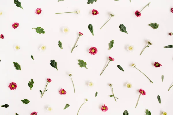 Bloemenpatroon met rode en witte wilde bloemen — Stockfoto