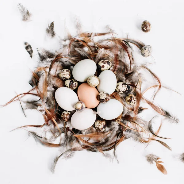 Vit, brun påskägg, vaktelägg i boet — Stockfoto