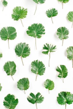 Çiçek desenli yeşil yaprakları yapılmış