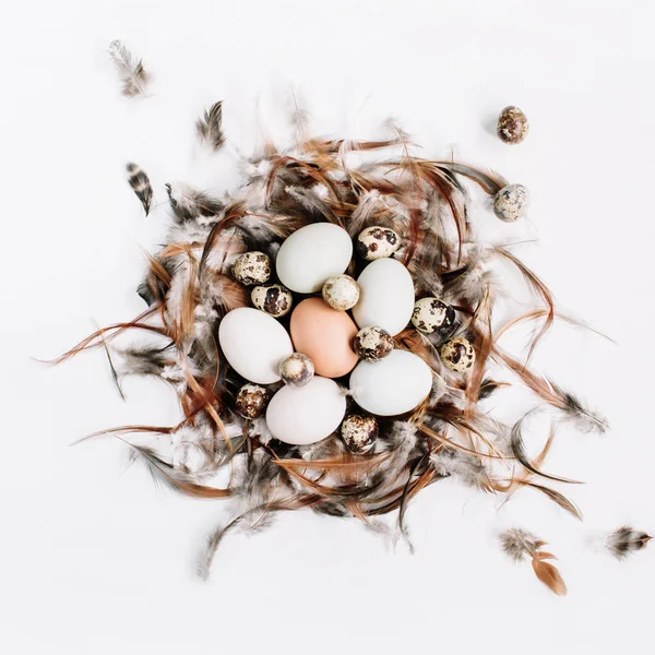 白色，棕色的复活节彩蛋，鹌鹑蛋在窝里 — 图库照片