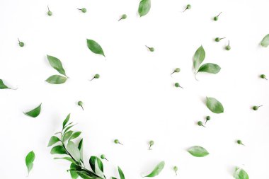 Yeşil yaprak çerçeve çelenk 