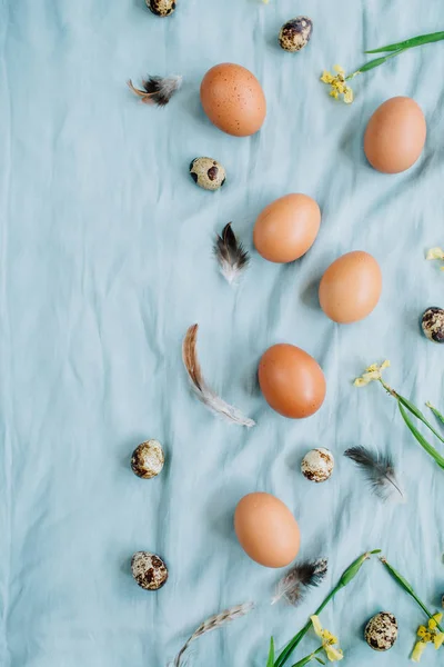Huevos de Pascua beige, huevos de codorniz, flores amarillas y plumas —  Fotos de Stock