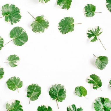 yeşil yapraklar desen 