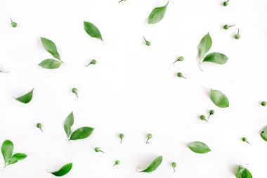 yeşil yapraklar desen 