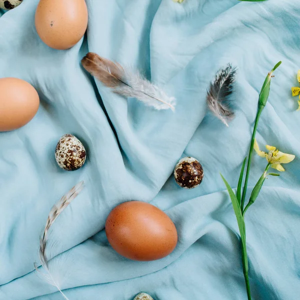 Ovos de Páscoa bege, ovos de codorna, flores amarelas e penas — Fotografia de Stock
