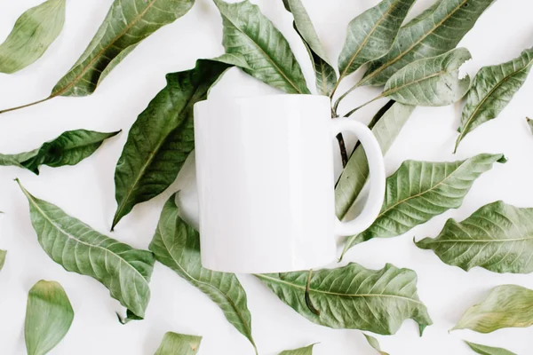 Modelo em branco de caneca branca e folhas verdes — Fotografia de Stock