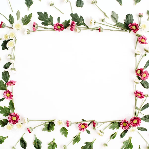 Kırmızı ve beyaz kır çiçekleri ile çerçeve çelenk — Stok fotoğraf