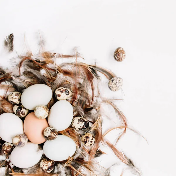 Branco, marrom ovos de Páscoa, ovos de codorna no ninho — Fotografia de Stock
