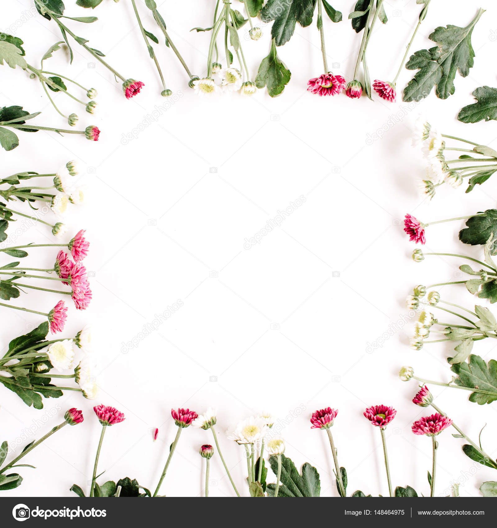 Red and white wildflowers Stock Photo by ©maximleshkovich 148464975