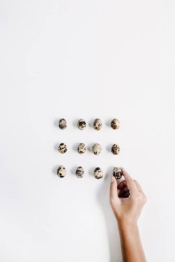 El Holding Bıldırcın yumurta