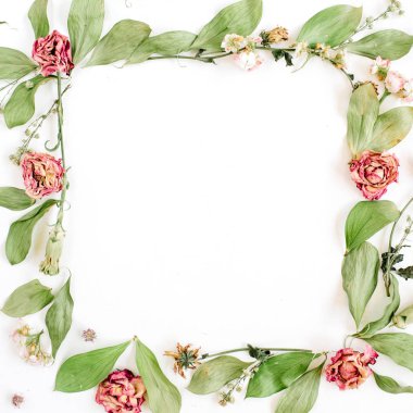 Gül, pembe çiçek tomurcukları, dalları ve yaprakları çerçeve