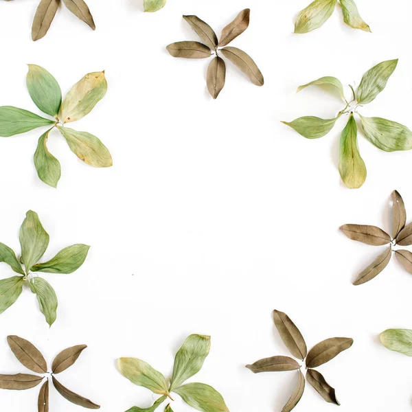 Zielony i suchych liści brązowe — Zdjęcie stockowe