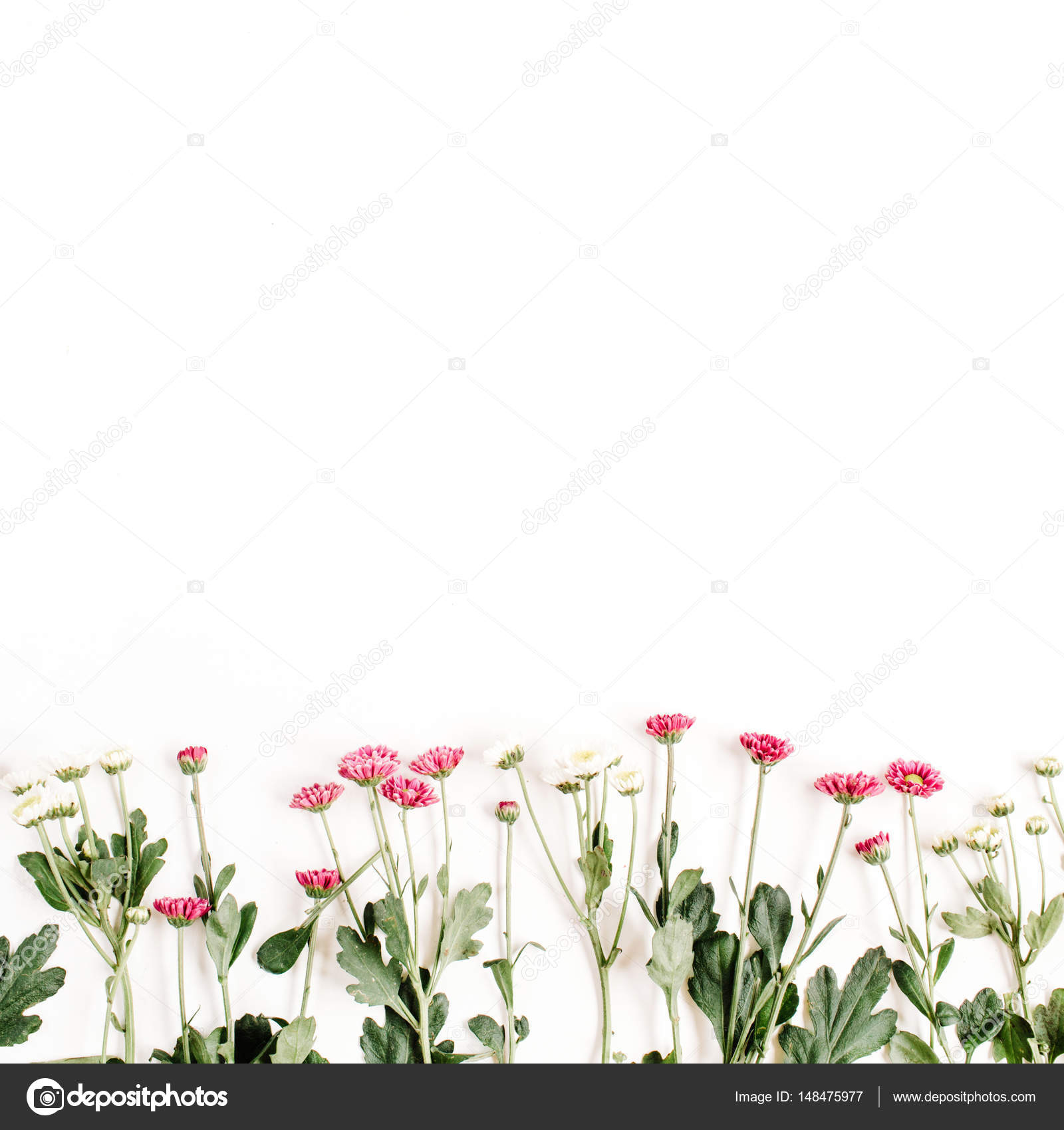 Red and white wildflowers Stock Photo by ©maximleshkovich 148475977