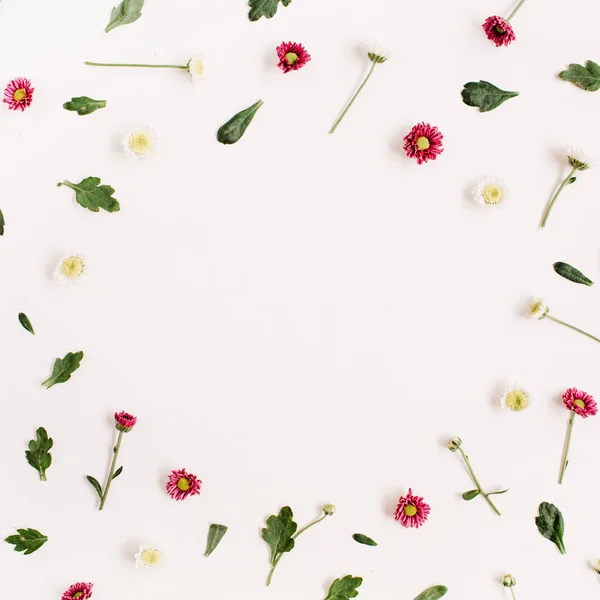 Kırmızı ve beyaz kır çiçekleri — Stok fotoğraf