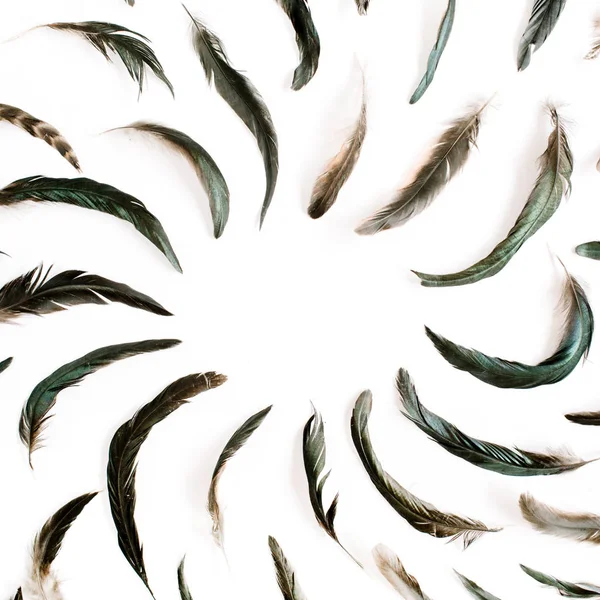 새 깃털 패턴 — 스톡 사진