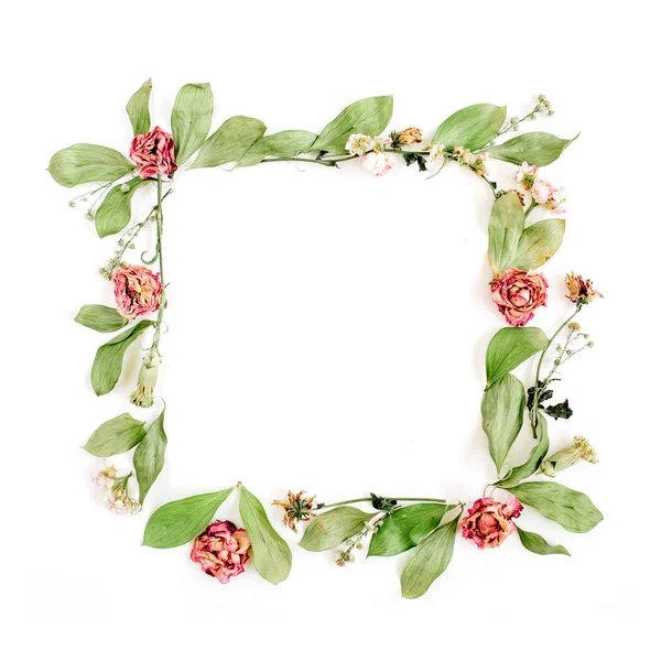 Roses, pink flower buds, branches and leaves frame — Stock Photo, Image