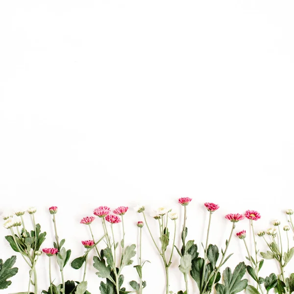 लाल और सफेद जंगली फूल — स्टॉक फ़ोटो, इमेज