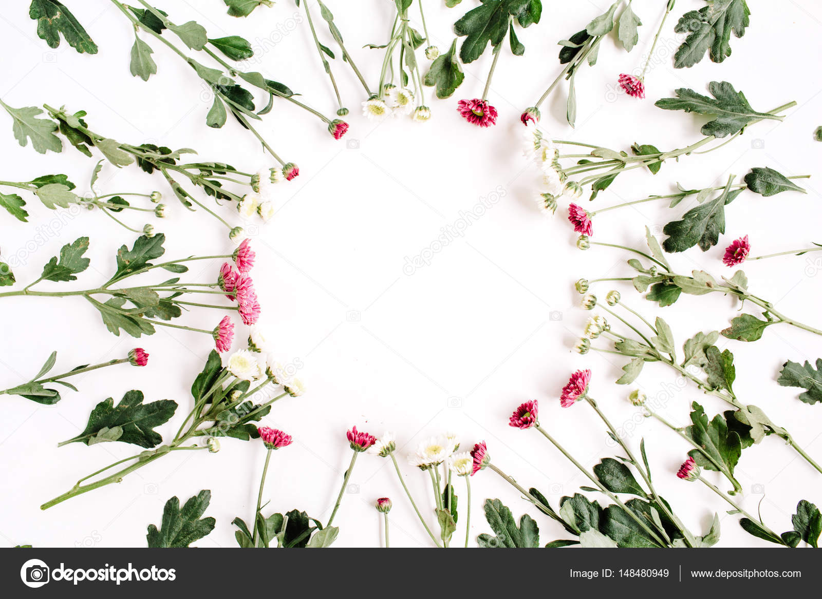 Red and white wildflowers Stock Photo by ©maximleshkovich 148480949