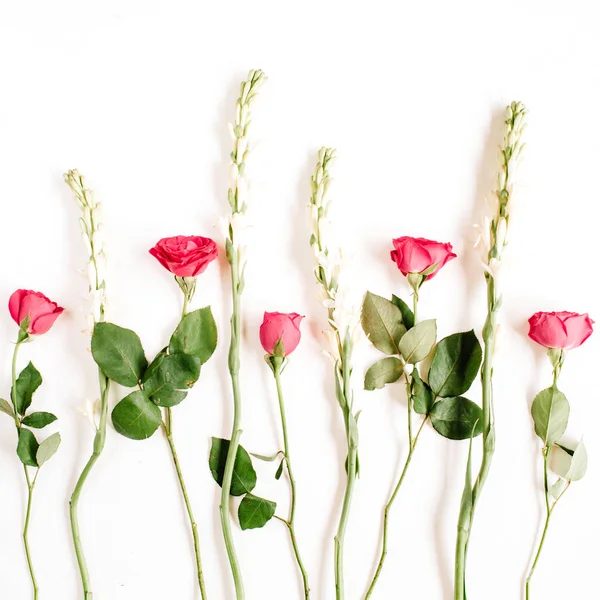 Roze rozen en witte bloemen — Stockfoto