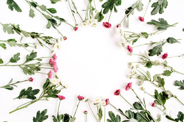 Rote und weiße Wildblumen — Stockfoto