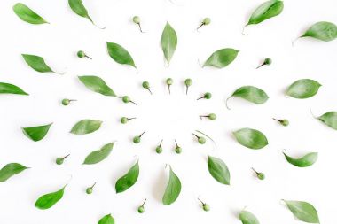 Çiçek desenli yeşil yaprakları yapılmış