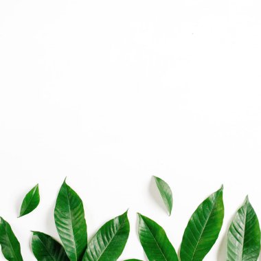 Çiçek desenli yeşil yaprakları yapılmış