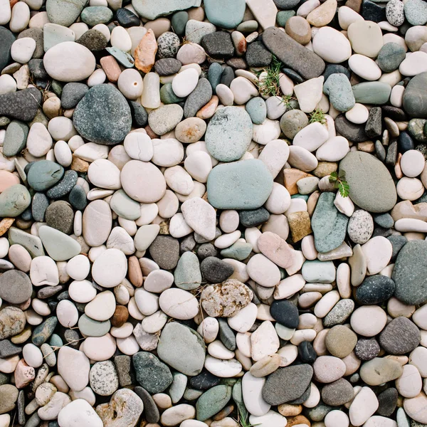 Neutral pattern of pale stones. — Stock Photo, Image