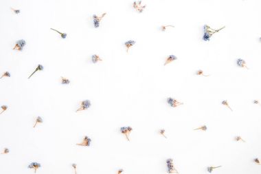 Mavi kurutulmuş çiçek çiçek desenli