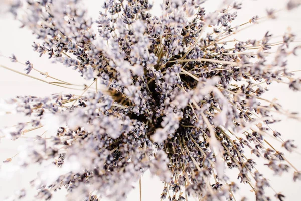 Lavender flowers bouquet — Stock Photo, Image