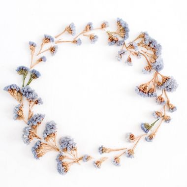 Soluk mavi kurutulmuş çiçek çelenk çerçeve