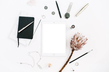 Blogger veya serbest meslek çalışma alanı