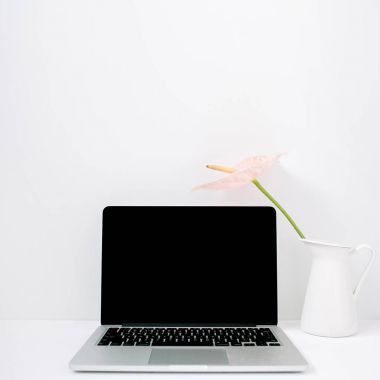 Laptop ve soluk pembe antoryum çiçek 