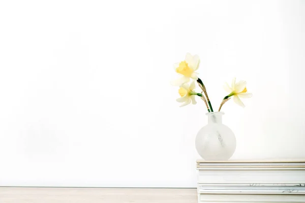 植木鉢の黄色いスイセンの花 — ストック写真